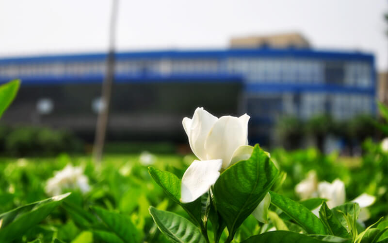 东华大学校园风景