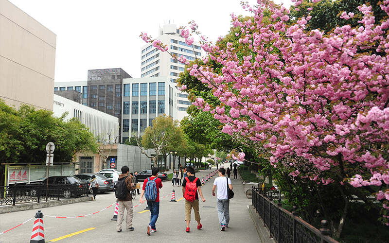 东华大学校园风景