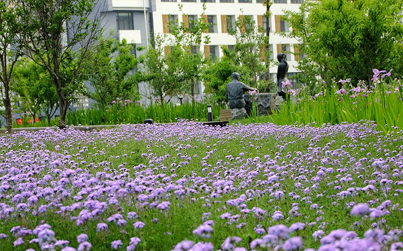 上海电力大学校园风景