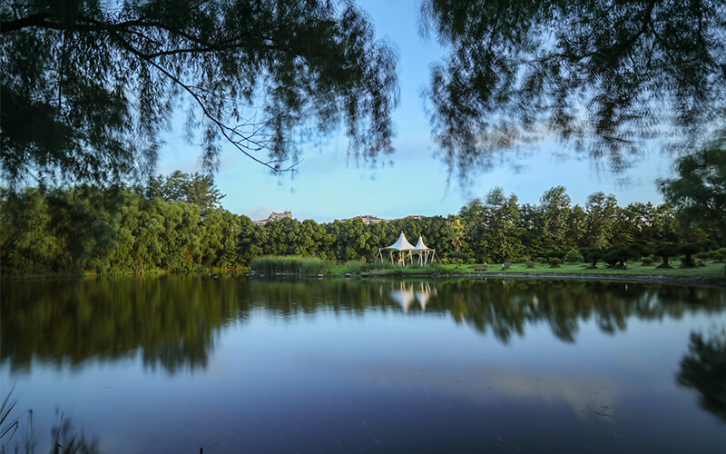 上海对外经贸大学校园风景