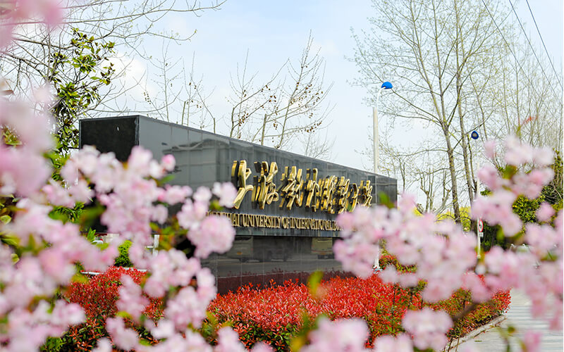 上海对外经贸大学校园风景