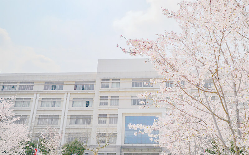 上海对外经贸大学校园风景