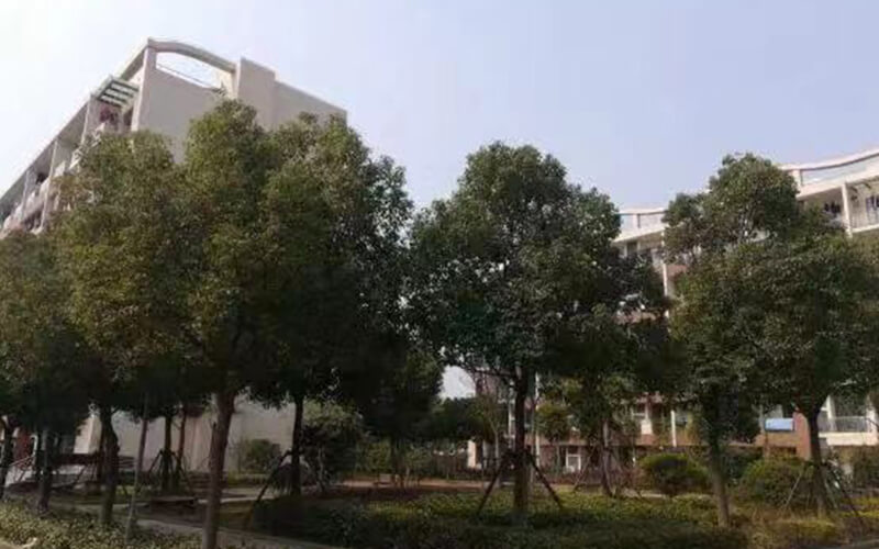 上海海关学院校园风景