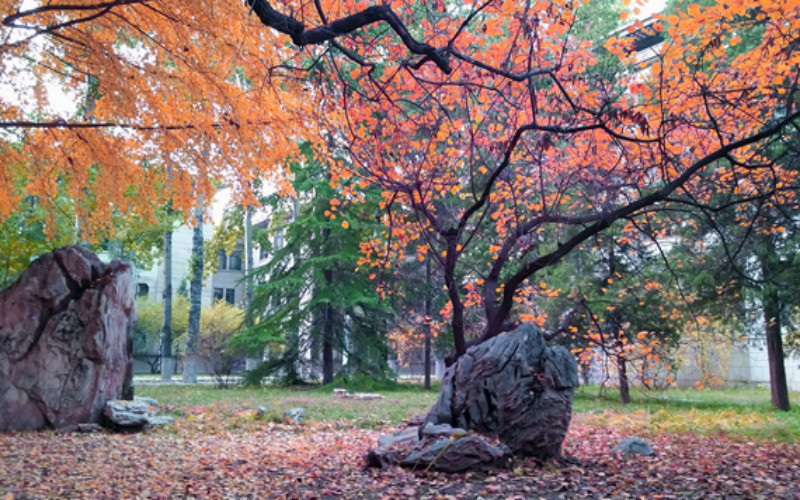 北京航空航天大学校园风景