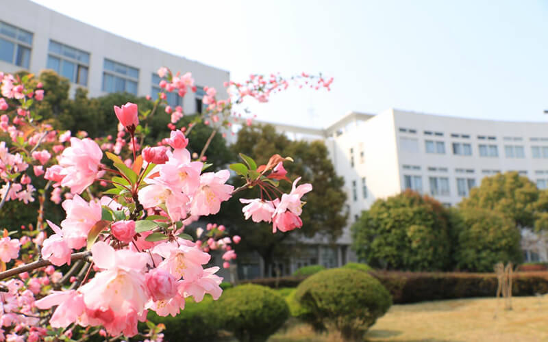 上海第二工业大学校园风景
