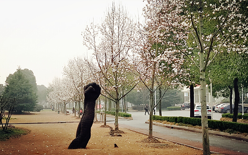 上海视觉艺术学院校园风景