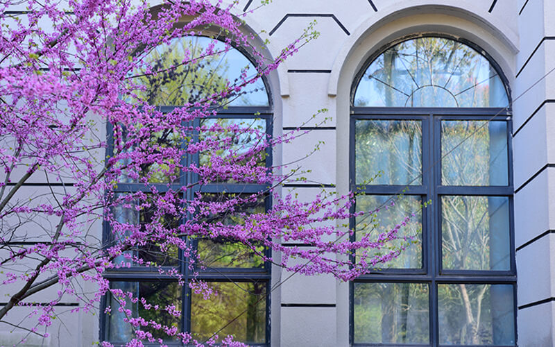 上海外国语大学贤达经济人文学院校园风景