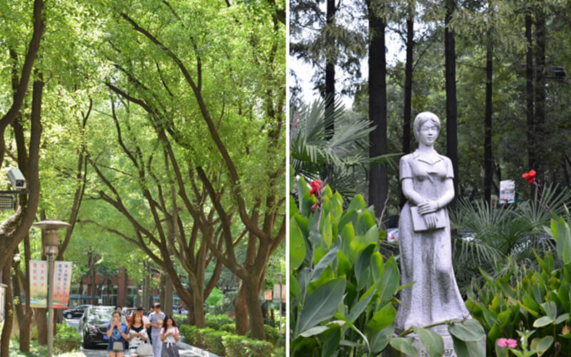 上海科学技术职业学院校园风景