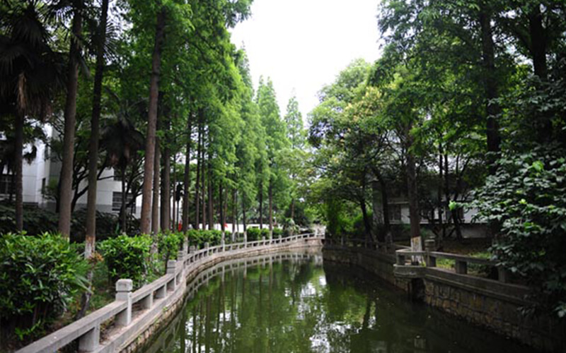 上海科学技术职业学院校园风景
