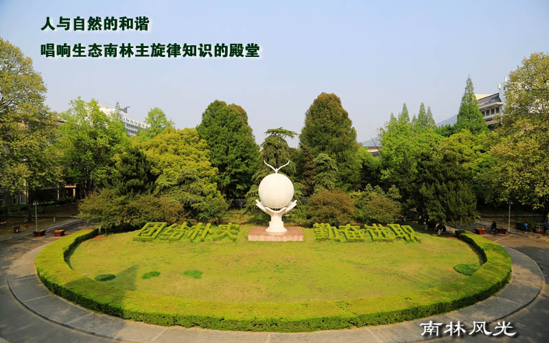 南京林业大学校园风景
