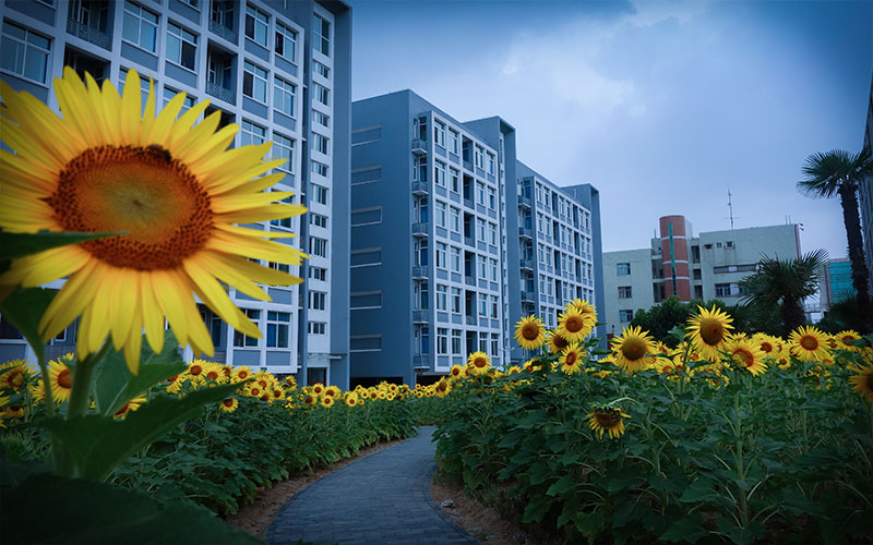 徐州医科大学校园风景