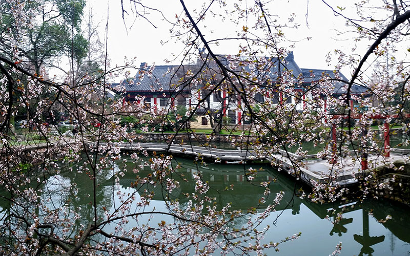 南京师范大学校园风景