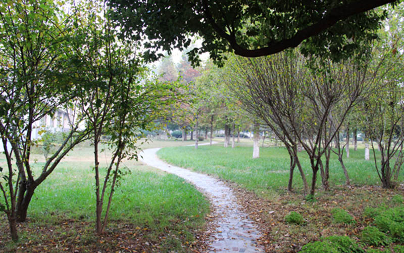 淮阴师范学院校园风景