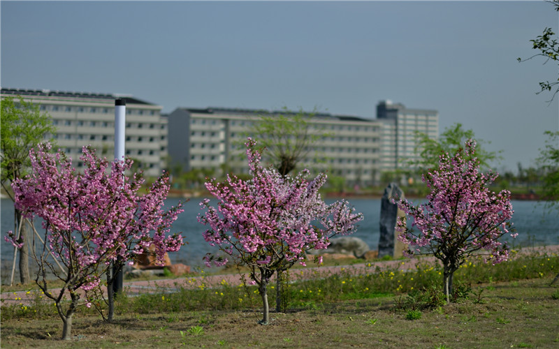 南京师范大学中北学院校园风景