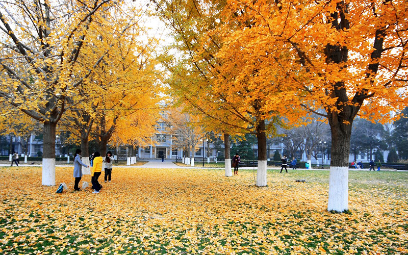 北京理工大学校园风景