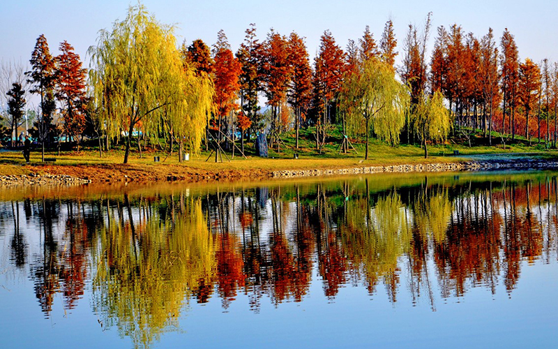 北京理工大学校园风景