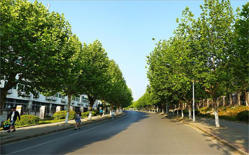 江苏师范大学科文学院校园风景