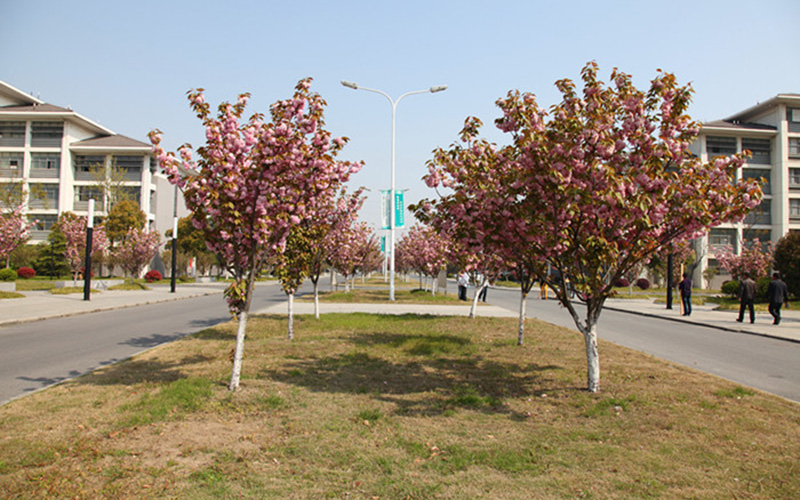 南京邮电大学通达学院校园风景