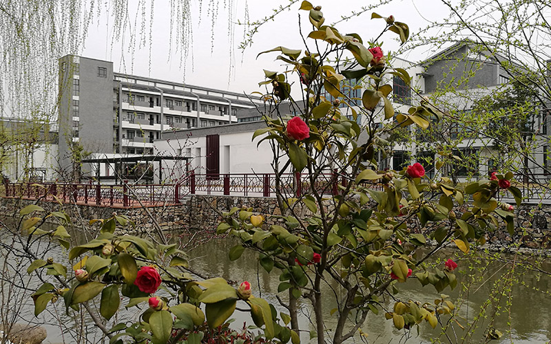 苏州幼儿师范高等专科学校校园风景