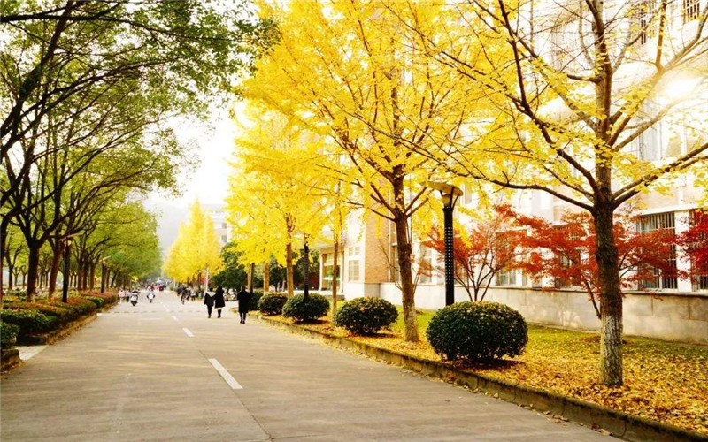 丽水学院校园风景