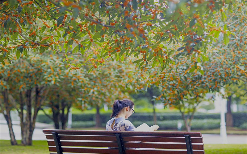 宁波财经学院校园风景