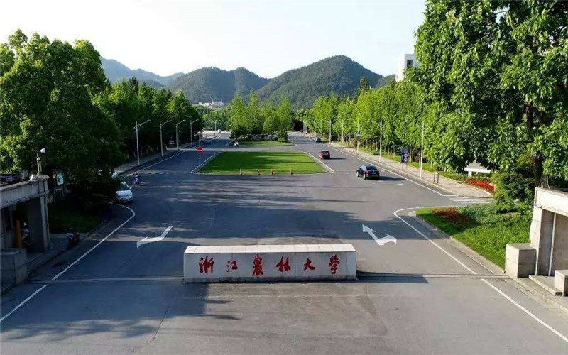 浙江农林大学暨阳学院校园风景