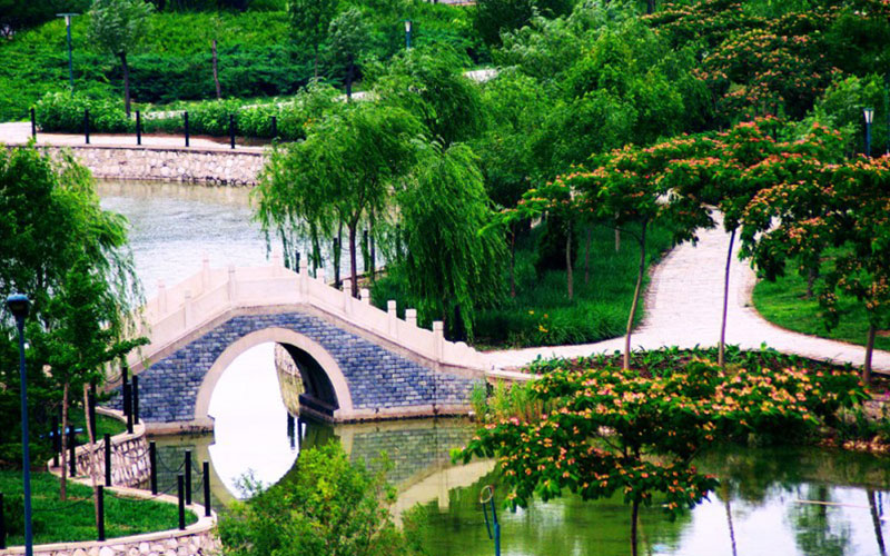 天津科技大学校园风景
