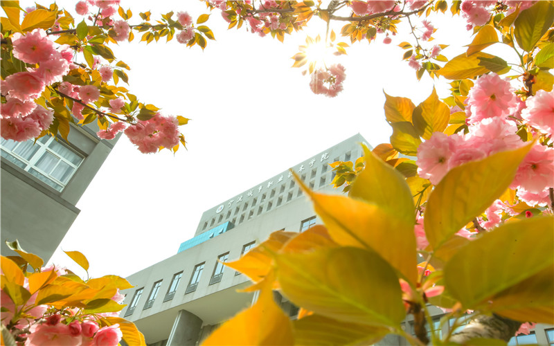 宁波城市职业技术学院校园风景