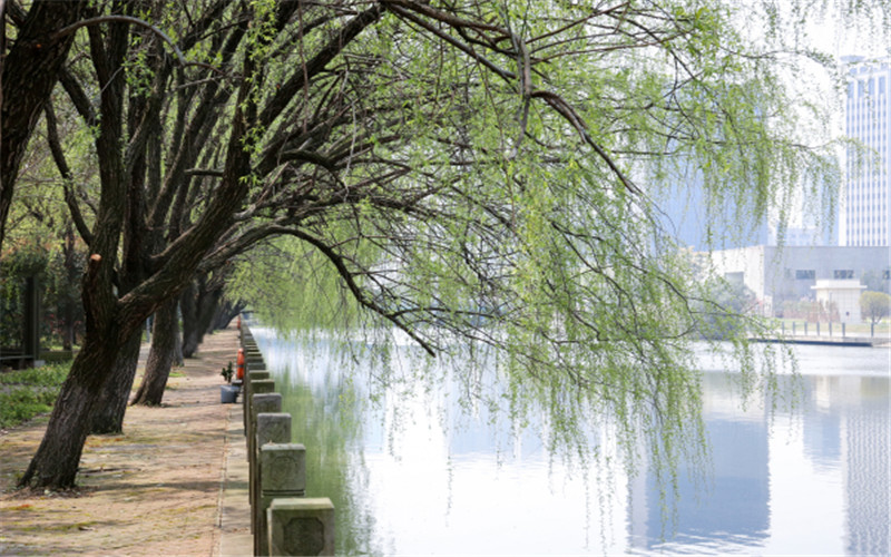 浙江医药高等专科学校校园风景